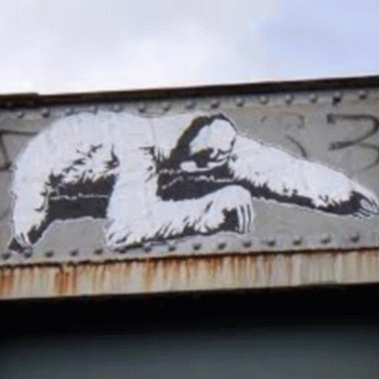 Sloth (USA-2) : Cuddly Noise Wall